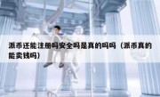 派币还能注册吗安全吗是真的吗吗（派币真的能卖钱吗）