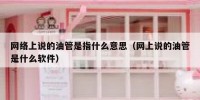 网络上说的油管是指什么意思（网上说的油管是什么软件）