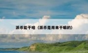 派币能干啥（派币是用来干嘛的）