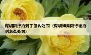 深圳限行拍到了怎么处罚（深圳如果限行被拍到怎么处罚）
