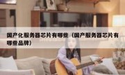 国产化服务器芯片有哪些（国产服务器芯片有哪些品牌）