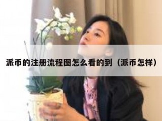 派币的注册流程图怎么看的到（派币怎样）