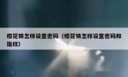 樱花锁怎样设置密码（樱花锁怎样设置密码和指纹）