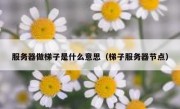 服务器做梯子是什么意思（梯子服务器节点）