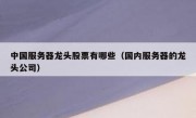 中国服务器龙头股票有哪些（国内服务器的龙头公司）