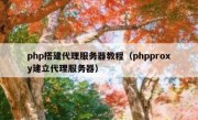 php搭建代理服务器教程（phpproxy建立代理服务器）