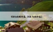 tiktok叫什么（tik tok什么）