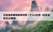 抖音加粉赚钱是真的吗一个人2元钱（抖音加粉怎么赚钱）