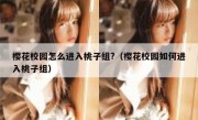 樱花校园怎么进入桃子组?（樱花校园如何进入桃子组）