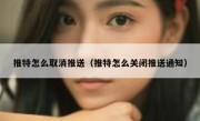 推特怎么取消推送（推特怎么关闭推送通知）