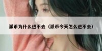 派币为什么进不去（派币今天怎么进不去）