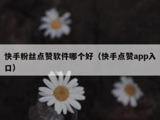 快手粉丝点赞软件哪个好（快手点赞app入口）