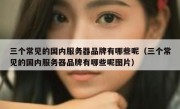三个常见的国内服务器品牌有哪些呢（三个常见的国内服务器品牌有哪些呢图片）