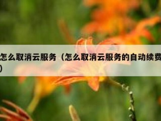 怎么取消云服务（怎么取消云服务的自动续费）