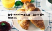 想看facebook怎么办（怎么样看facebook）