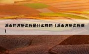 派币的注册流程是什么样的（派币注册流程图）