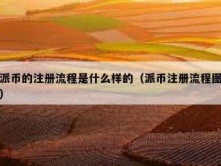 派币的注册流程是什么样的（派币注册流程图）