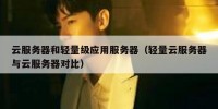云服务器和轻量级应用服务器（轻量云服务器与云服务器对比）