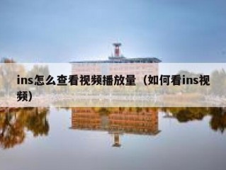 ins怎么查看视频播放量（如何看ins视频）