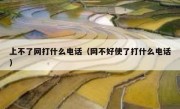 上不了网打什么电话（网不好使了打什么电话）