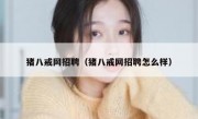 猪八戒网招聘（猪八戒网招聘怎么样）