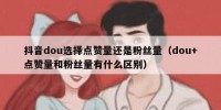 抖音dou选择点赞量还是粉丝量（dou+点赞量和粉丝量有什么区别）