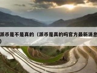 派币是不是真的（派币是真的吗官方最新消息）