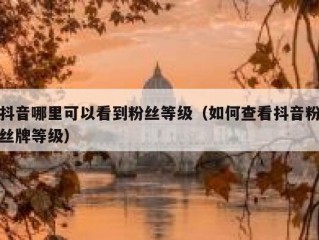 抖音哪里可以看到粉丝等级（如何查看抖音粉丝牌等级）