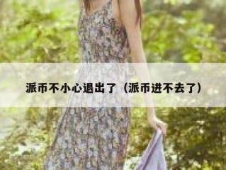 派币不小心退出了（派币进不去了）
