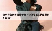 公众号怎么才能涨粉快（公众号怎么快速涨粉不花钱）