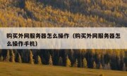 购买外网服务器怎么操作（购买外网服务器怎么操作手机）