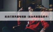 反贪打黑风暴电视剧（反贪风暴幕后黑手）
