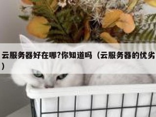 云服务器好在哪?你知道吗（云服务器的优劣）