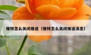 推特怎么关闭推送（推特怎么关闭推送消息）