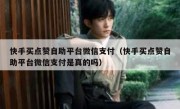 快手买点赞自助平台微信支付（快手买点赞自助平台微信支付是真的吗）