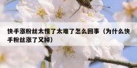 快手涨粉丝太慢了太难了怎么回事（为什么快手粉丝涨了又掉）