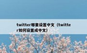 twitter哪里设置中文（twitter如何设置成中文）