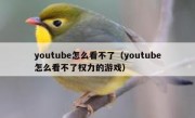 youtube怎么看不了（youtube怎么看不了权力的游戏）