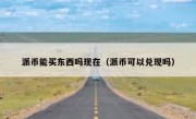 派币能买东西吗现在（派币可以兑现吗）