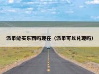 派币能买东西吗现在（派币可以兑现吗）