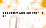 保定市明天限行什么车号（保定今天限行什么车号）