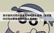 支付宝代付可以使用花呗吗怎么关闭（支付宝代付可以使用花呗吗怎么关闭呢）