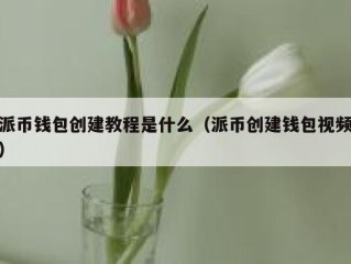 派币钱包创建教程是什么（派币创建钱包视频）
