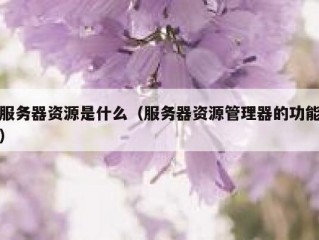 服务器资源是什么（服务器资源管理器的功能）