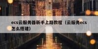 ecs云服务器新手上路教程（云服务ecs怎么搭建）