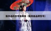 服务器的型号有哪些（服务器品牌型号）