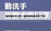 服务器芯片公司（国内服务器芯片厂家）