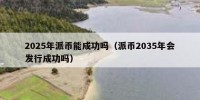 2025年派币能成功吗（派币2035年会发行成功吗）