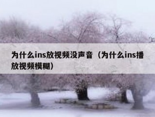 为什么ins放视频没声音（为什么ins播放视频模糊）