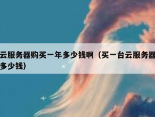 云服务器购买一年多少钱啊（买一台云服务器多少钱）